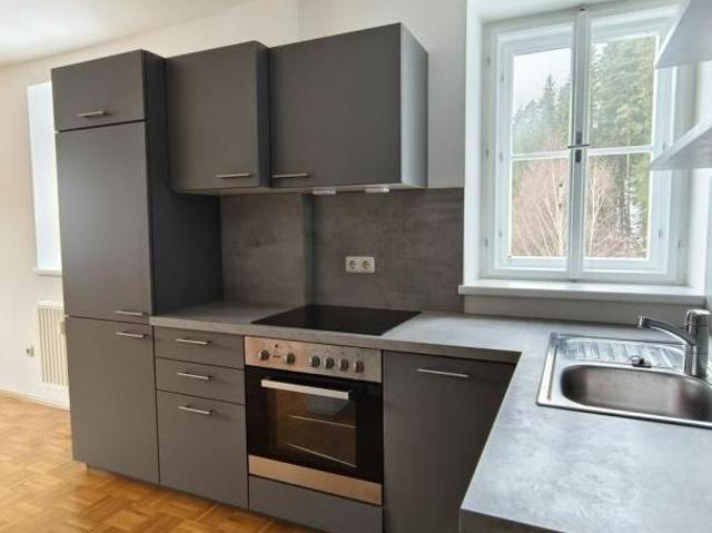 Wohnung mieten in Alpl, Neuberg an der Mürz