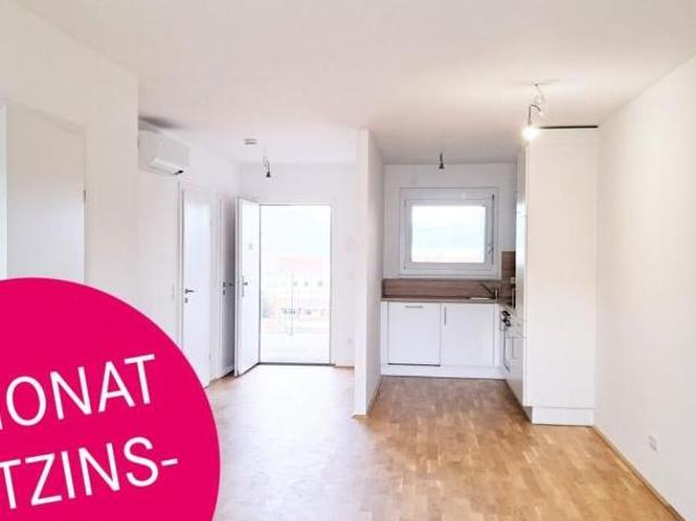 Wohnung mieten in Katastralgemeinde Baierdorf, Graz
