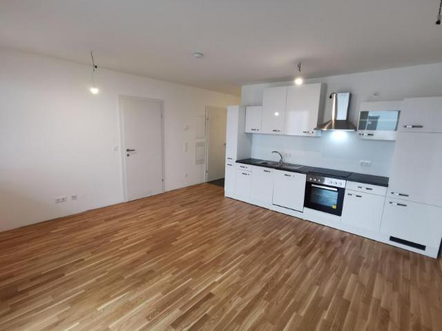 Wohnung mieten in KG Rothneusiedl, Wien