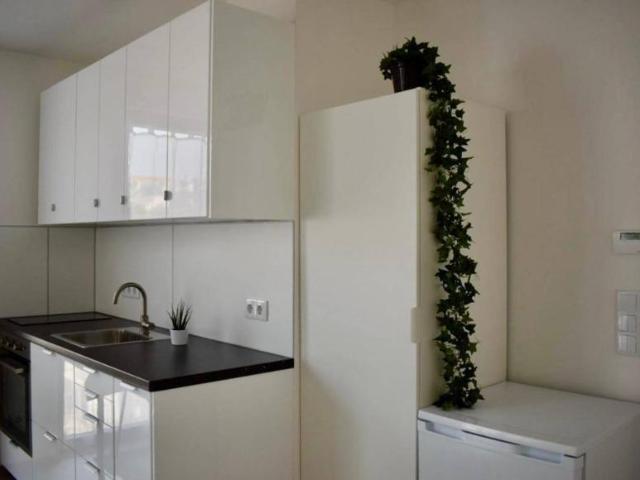 Wohnung mieten in Innere Stadt, Wien