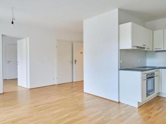 Wohnung mieten in Innere Stadt, Wien