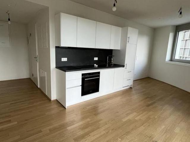 Wohnung mieten in Innere Stadt, Wien