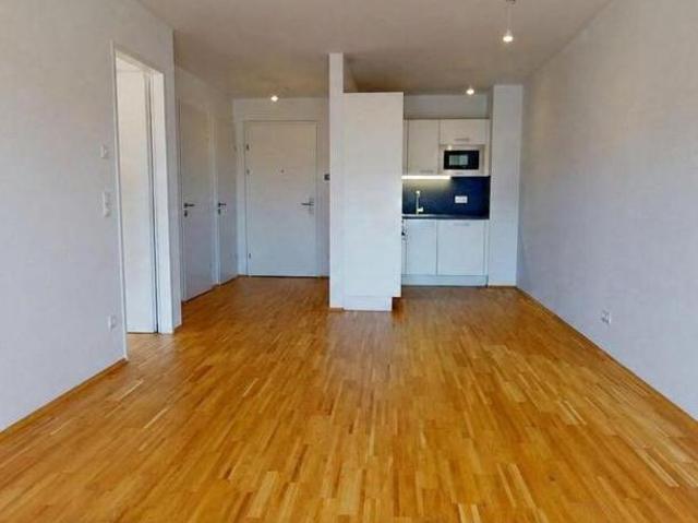 Wohnung mieten in Innere Stadt, Wien