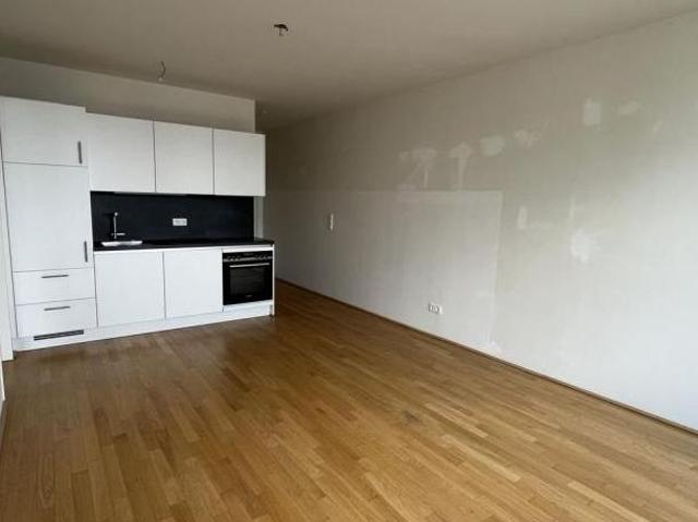 Wohnung mieten in Innere Stadt, Wien