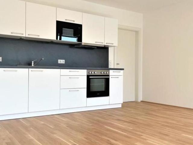 Wohnung mieten in Innere Stadt, Wien