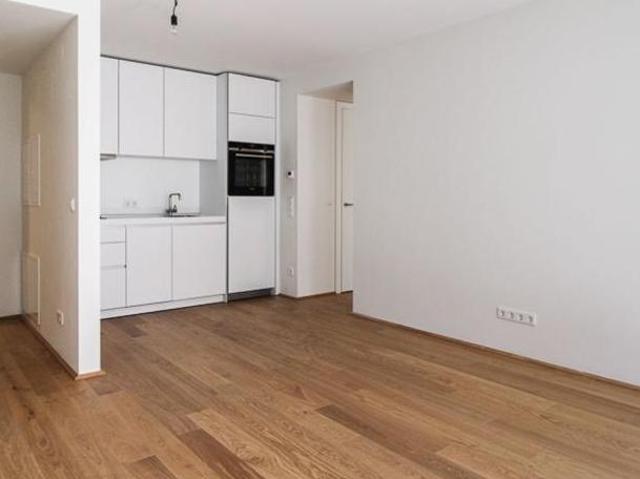 Wohnung mieten in Innere Stadt, Wien