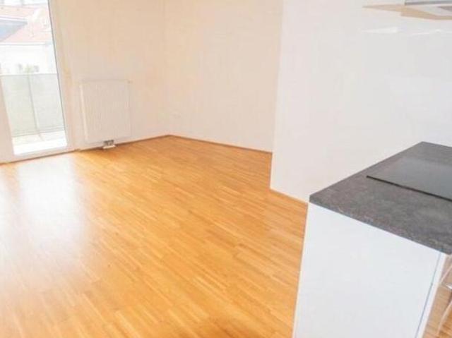 Wohnung mieten in Innere Stadt, Wien