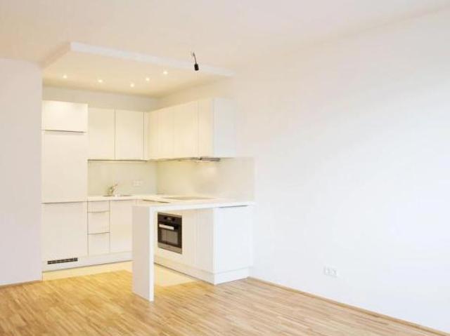 Wohnung mieten in Innere Stadt, Wien