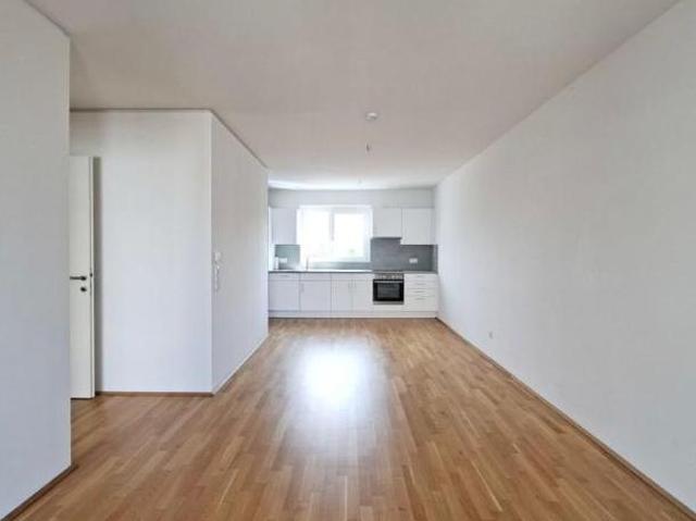 Wohnung mieten in Innere Stadt, Wien