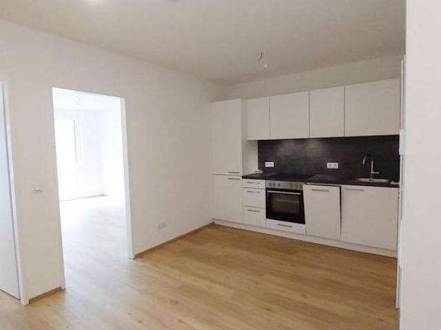 Wohnung mieten in Innere Stadt, Wien