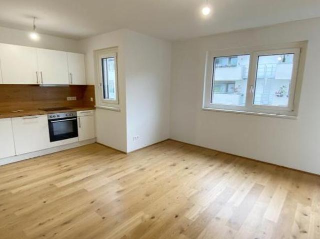 Wohnung mieten in Innere Stadt, Wien