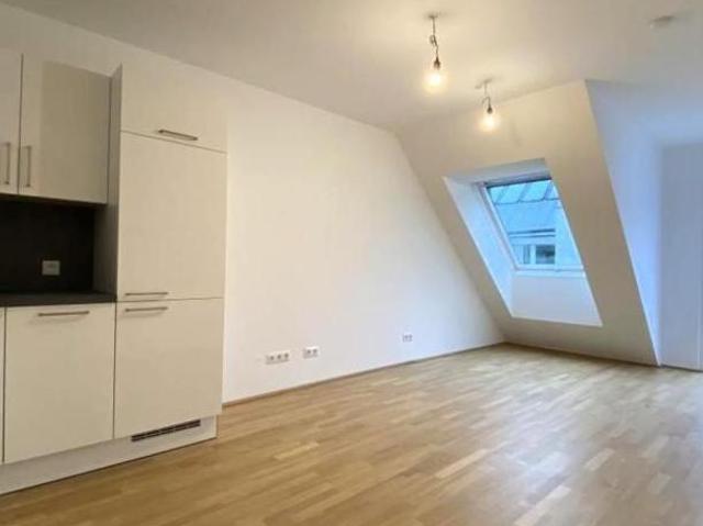 Wohnung mieten in Innere Stadt, Wien