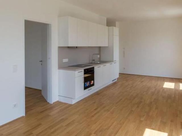 Wohnung mieten in Innere Stadt, Wien