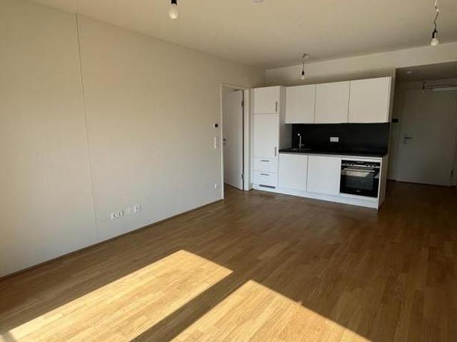 Wohnung mieten in Innere Stadt, Wien