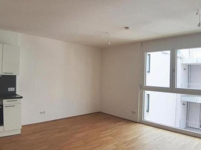 Wohnung mieten in Innere Stadt, Wien