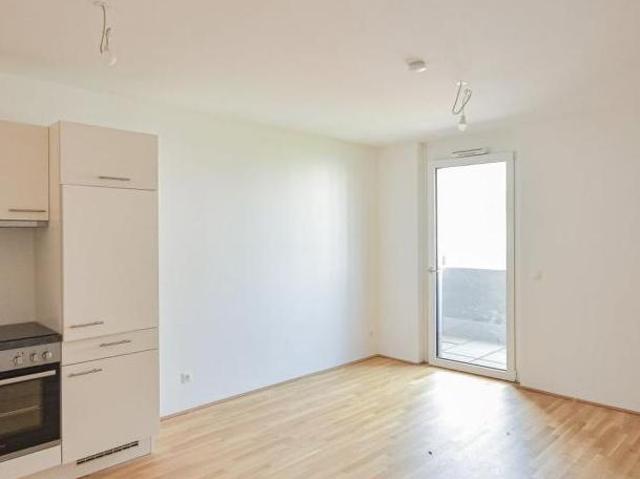 Wohnung mieten in Innere Stadt, Wien