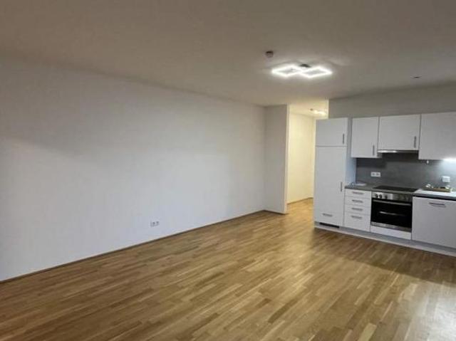 Wohnung mieten in Innere Stadt, Wien
