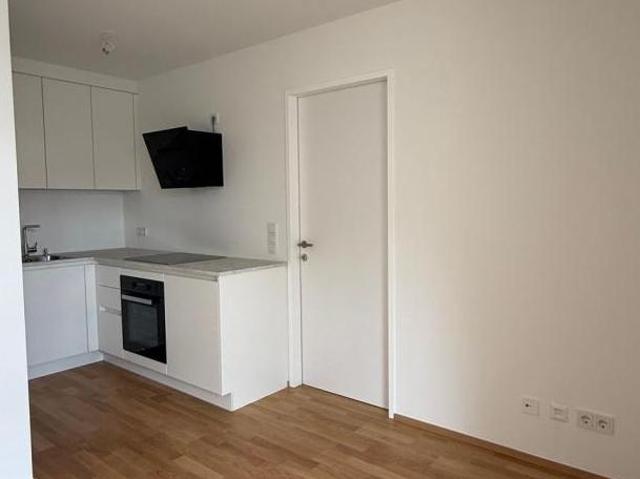 Wohnung mieten in Innere Stadt, Wien