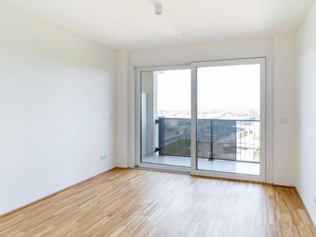 Wohnung mieten in Innere Stadt, Wien