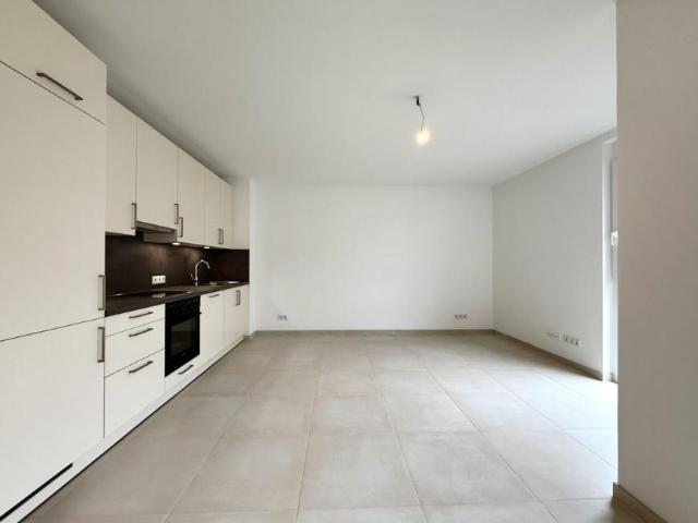 Wohnung mieten in Innere Stadt, Wien