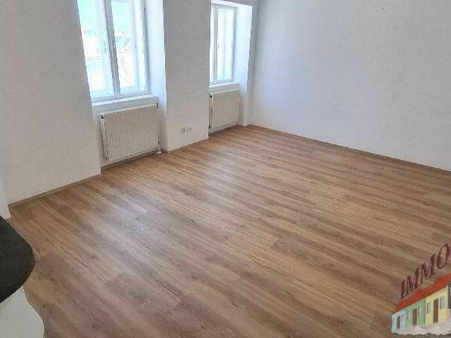 Wohnung mieten in KG Innere Stadt, Wien