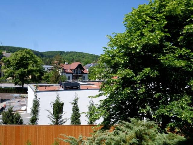 Wohnung mieten in KG Innere Stadt, Wien