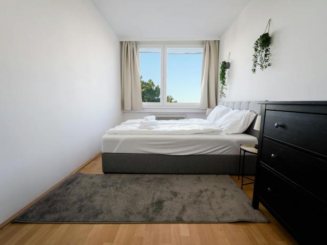 Wohnung mieten in Wiener Neustadt, Niederösterreich