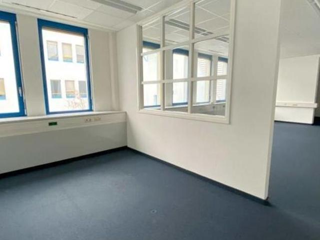 Gewerbe mieten in Wiener Neudorf, Niederösterreich