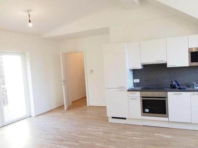 Wohnung mieten in Katastralgemeinde Hinterbrühl, Hinterbrühl
