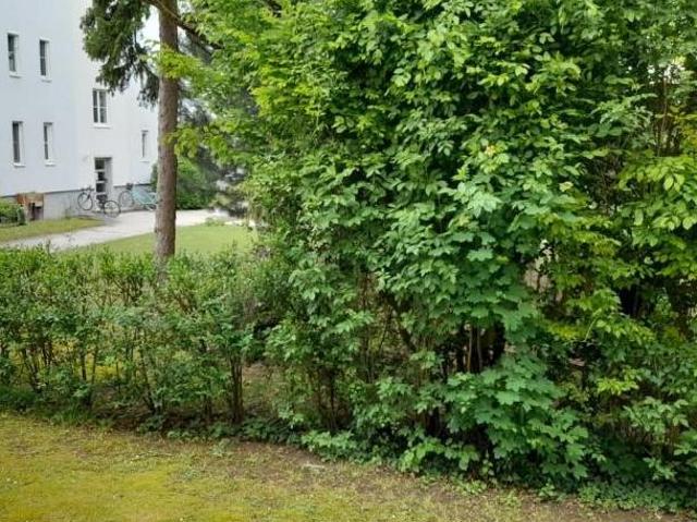 Wohnung mieten in St. Pölten, Niederösterreich