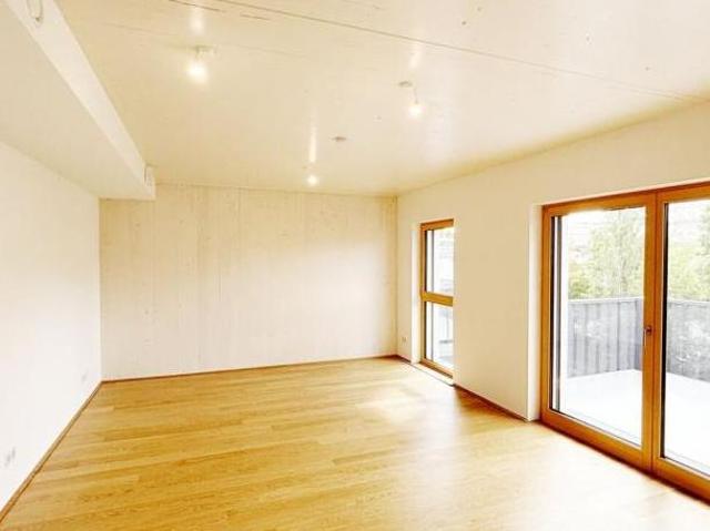 Wohnung mieten in Schöffelstadt, Mödling