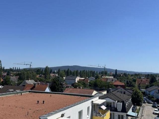 Wohnung mieten in Wiener Neustadt, Niederösterreich