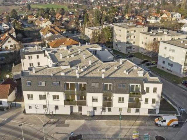 Wohnung mieten in Sankt Andrä vor dem Hagenthale, Sankt Andrä-Wördern