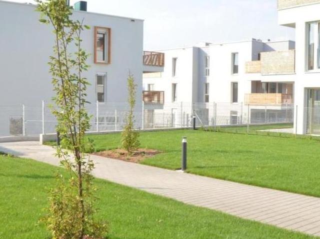 Wohnung mieten in Innenstadt, Krems an der Donau
