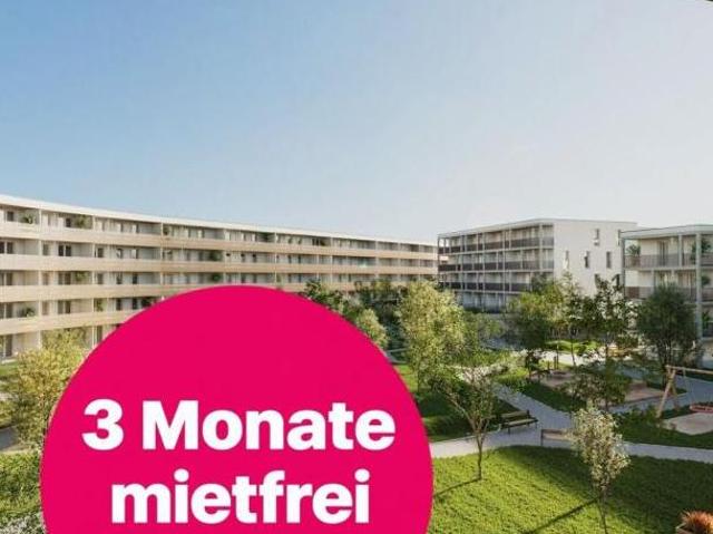 Wohnung mieten in Vösendorf, Bezirk Mödling