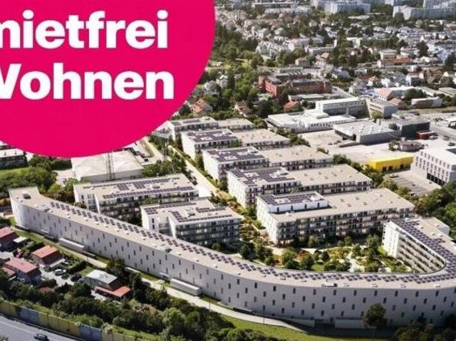 Wohnung mieten in Vösendorf, Bezirk Mödling
