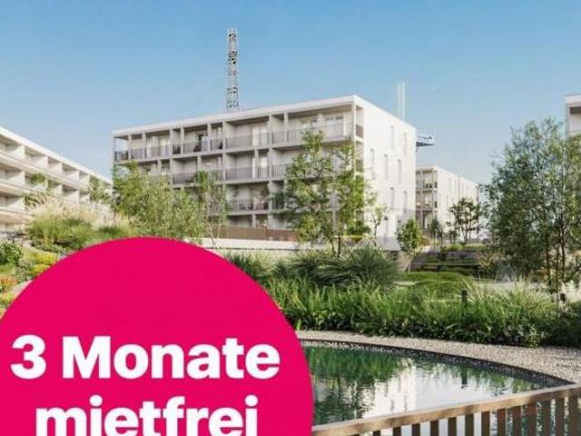 Wohnung mieten in Vösendorf, Bezirk Mödling