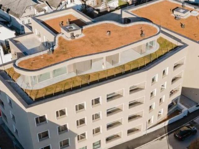 Wohnung mieten in Alm, Regau