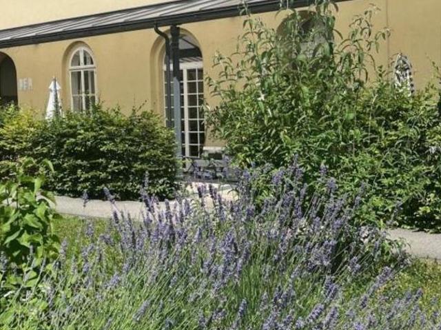 Wohnung mieten in Wels, Oberösterreich