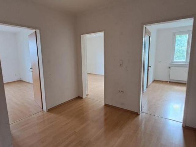 Wohnung mieten in Zwischenbrücken, Steyr