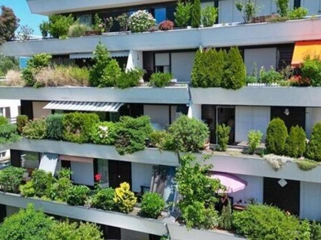 Wohnung mieten in Fußach, Vorarlberg