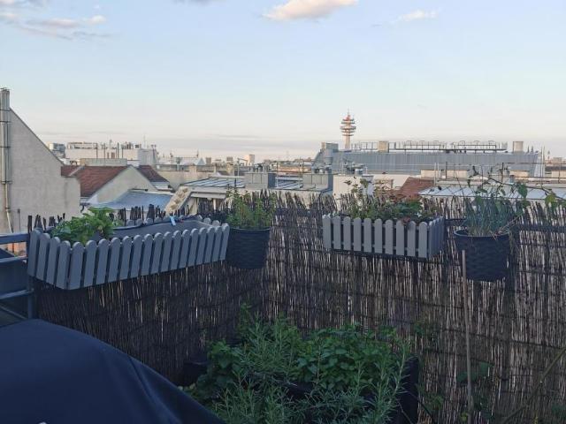Wohnung mieten in KG Inzersdorf Stadt, Wien
