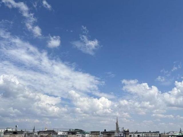 Wohnung mieten in Innere Stadt, Wien