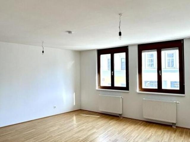 Wohnung mieten in Innere Stadt, Wien