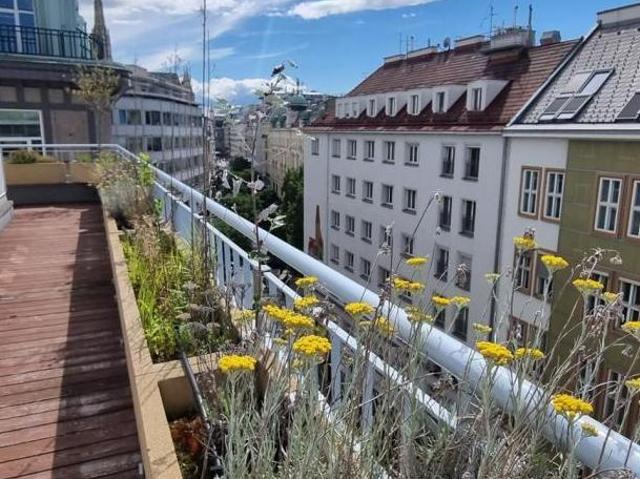 Wohnung mieten in Innere Stadt, Wien