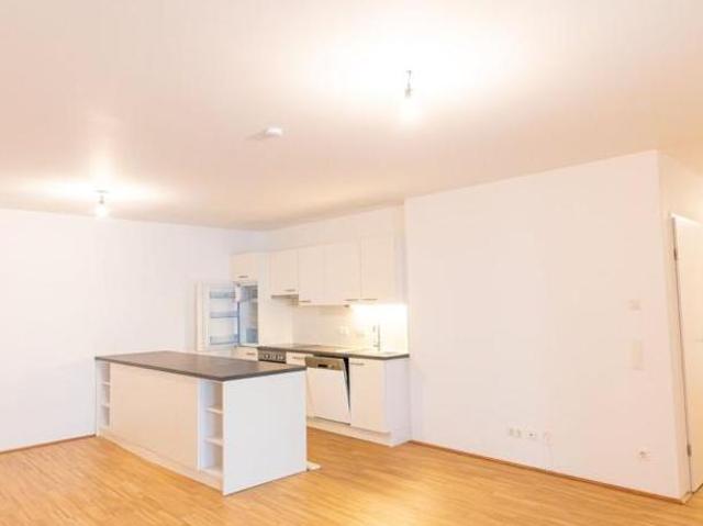 Wohnung mieten in Innere Stadt, Wien