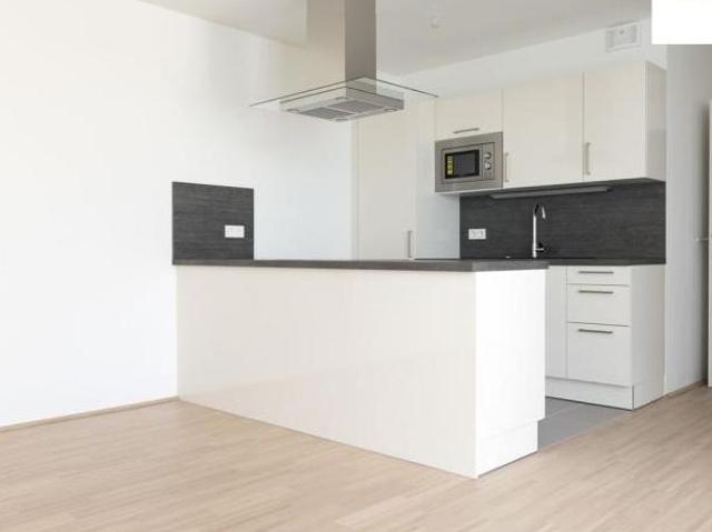 Wohnung mieten in Innere Stadt, Wien