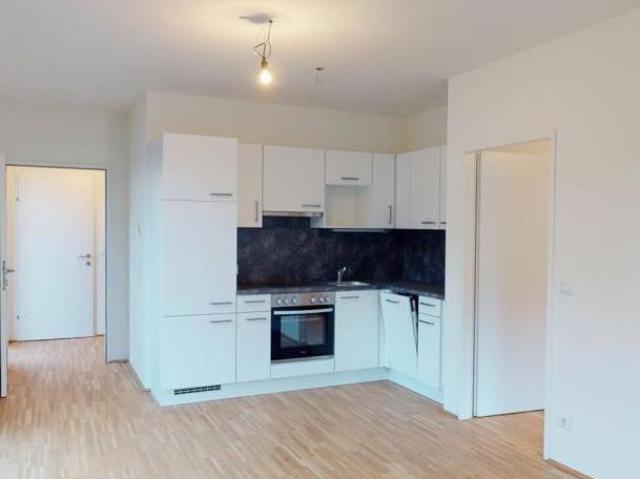 Wohnung mieten in Innere Stadt, Wien
