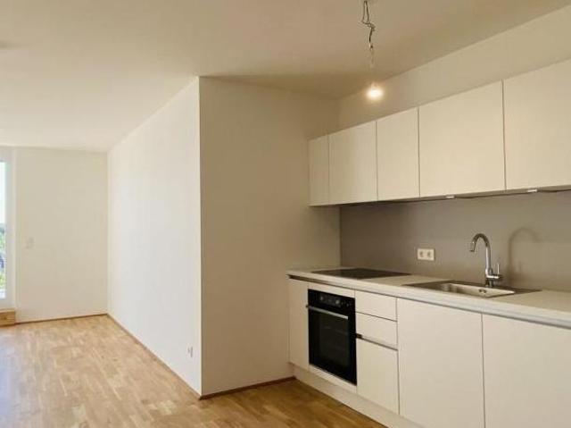 Wohnung mieten in Innere Stadt, Wien