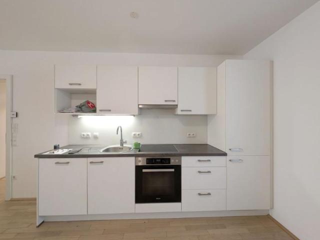 Wohnung mieten in Innere Stadt, Wien